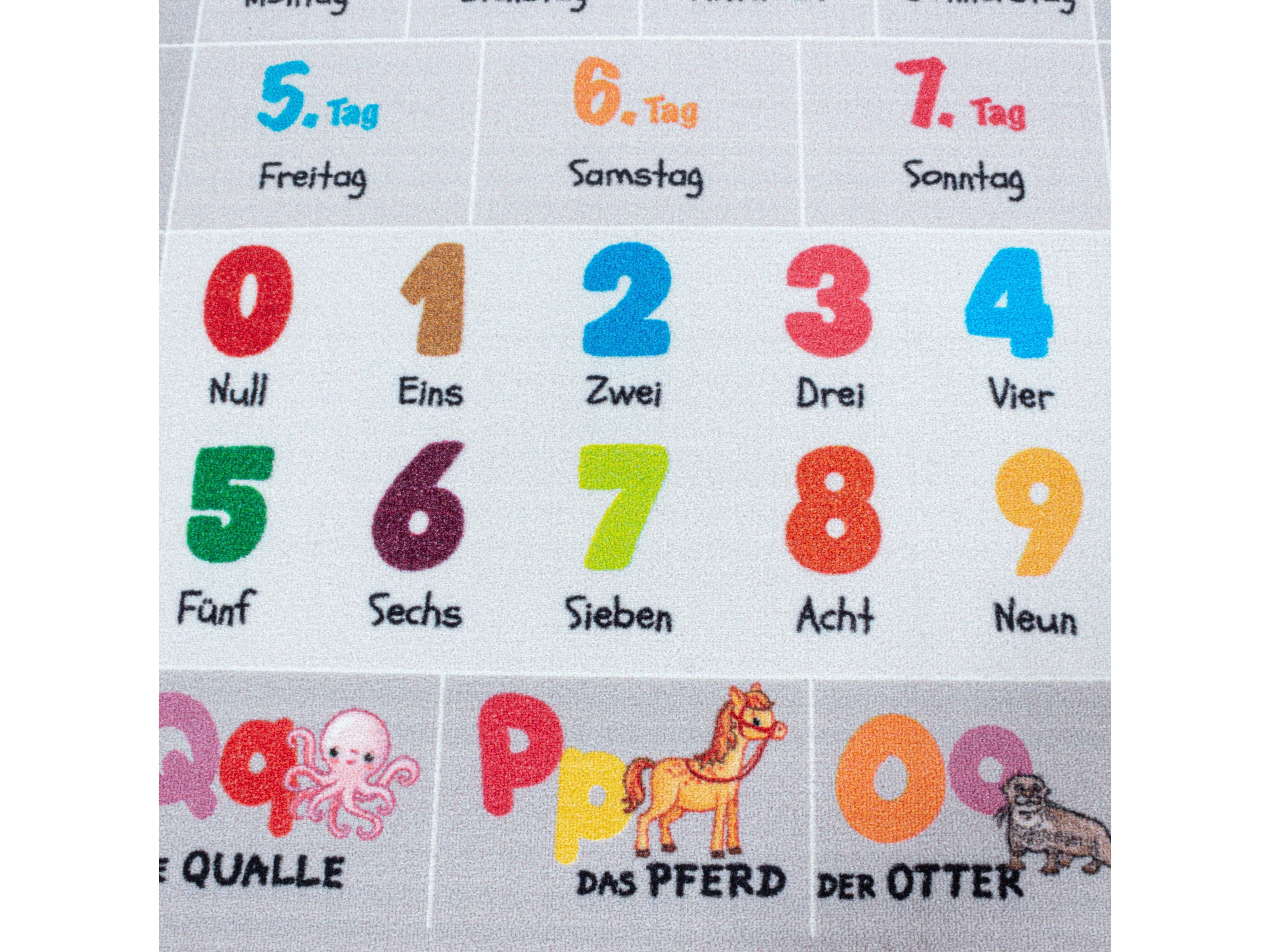 Vorschaubild 5